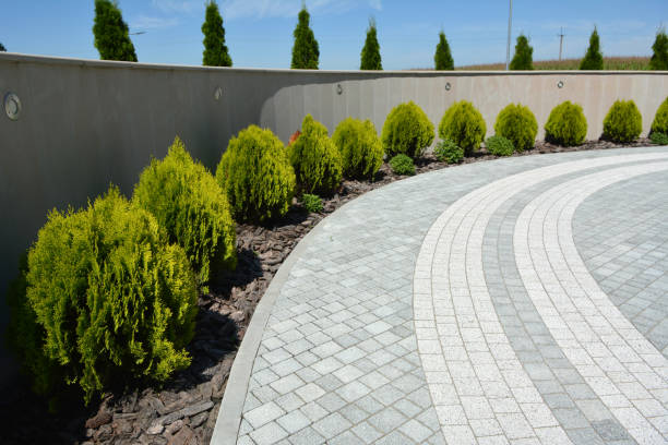 Best Driveway Repair Near Me  in Lewiston, ID
